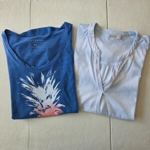 Two V-Neck Short Sleeve Tees
